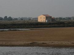 183 D19 PRESQU ILE DE GIENS 2_000049